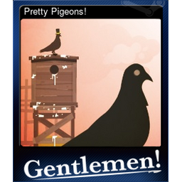 Pretty Pigeons!