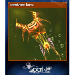 carnivore larva