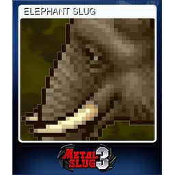 ELEPHANT SLUG