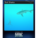 Bull Sharks