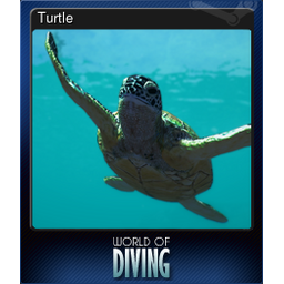 Turtle (Trading Card)