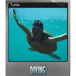 Turtle (Foil Trading Card)