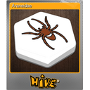 Araneidae (Foil)
