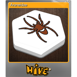 Araneidae (Foil)