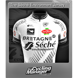 The Séché Environment Jersey (Foil)