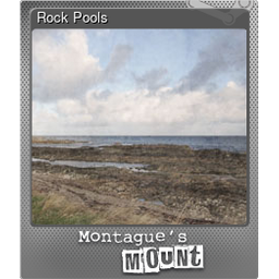 Rock Pools (Foil)