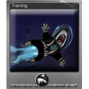 Training (Foil)