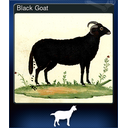 Black Goat