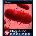 Bacteria