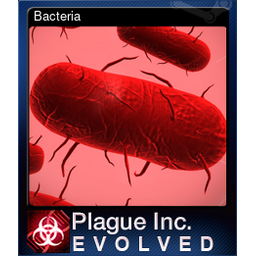 Bacteria