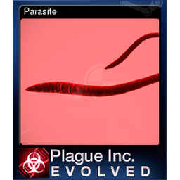 Parasite