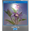Moonlit Toad Lily (Foil)