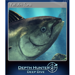 Yellofin Tuna