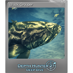 Black Grouper (Foil)