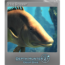 Hog Snapper (Foil)