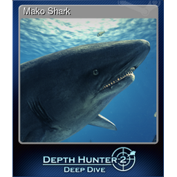 Mako Shark