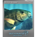 Mutton Snapper (Foil)