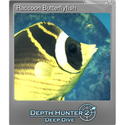Raccoon Butterflyfish (Foil)