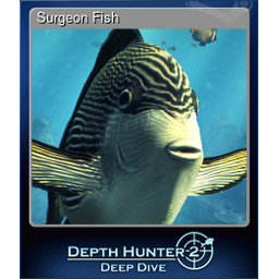 Surgeon Fish