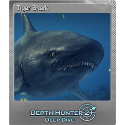 Tiger Shark (Foil)