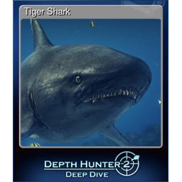 Tiger Shark