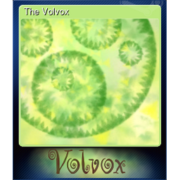 The Volvox