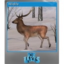 Wildlife (Foil)