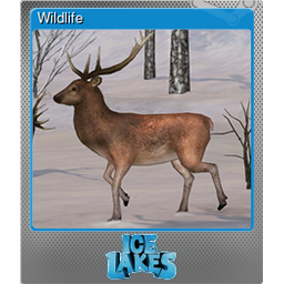 Wildlife (Foil)