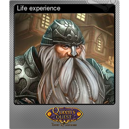 Life experience (Foil)