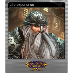 Life experience (Foil)