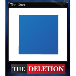 The User