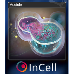 Vesicle