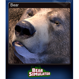 Bear