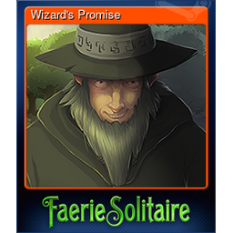 Wizards Promise