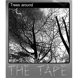 Trees around (Foil)