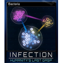 Bacteria