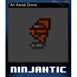 An Aerial Drone