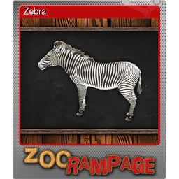 Zebra (Foil)