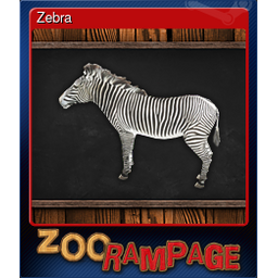 Zebra