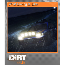 What Driving Is Like (Foil)