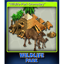 "Wildlife-Park-Dromedary"