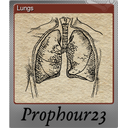 Lungs (Foil)
