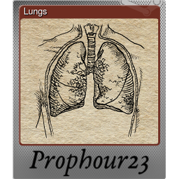 Lungs (Foil)