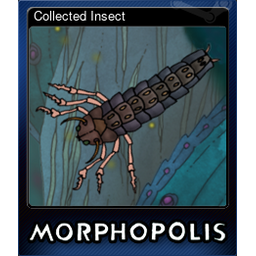 Collected Insect