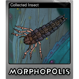 Collected Insect (Foil)
