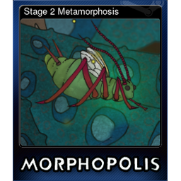 Stage 2 Metamorphosis