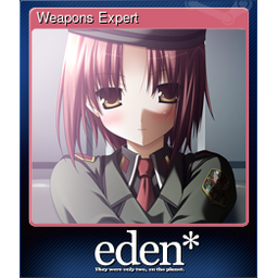 Weapons Expert