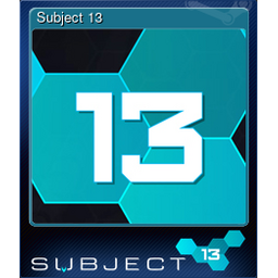 Subject 13