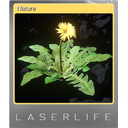 Nature (Foil)