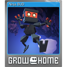 Ninja BUD (Foil)